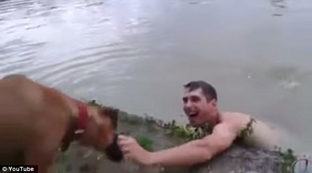 Lầm tưởng ông chủ chết đuối, chú chó lao xuống hồ cứu ảnh 4