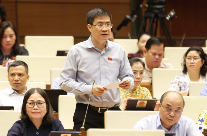Đại biểu Hoàng Minh Hiếu - Đoàn Đại biểu Quốc hội tỉnh Nghệ An. (Ảnh: Phương Hoa/TTXVN) dai bieu hieu.PNG