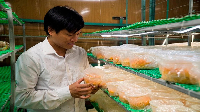 Làm giàu từ mô hình sản xuất nấm đông trùng hạ thảo quy mô công nghiệp ảnh 1