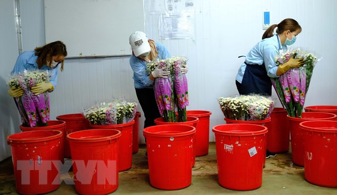 Cục Bảo vệ thực vật thông tin về việc cấm sử dụng hoạt chất Glyphosate ảnh 1