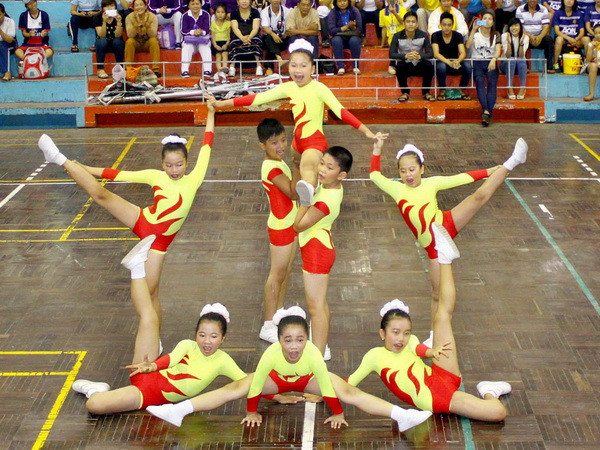 Việt Nam giành 6 huy chương vàng tại giải Aerobic châu Á 2014 ảnh 1