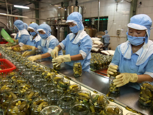 Nông sản Việt Nam có nhiều tiềm năng thâm nhập thị trường Singapore ảnh 1