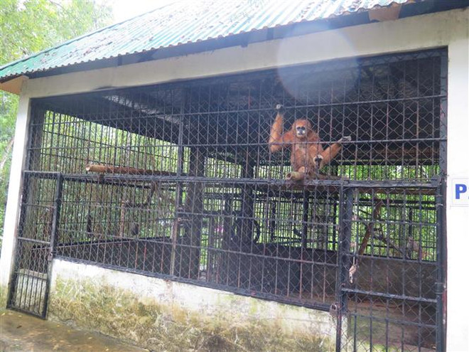 Vinh danh 21 tổ chức, cá nhân nỗ lực đóng góp giải cứu loài hoang dã ảnh 3