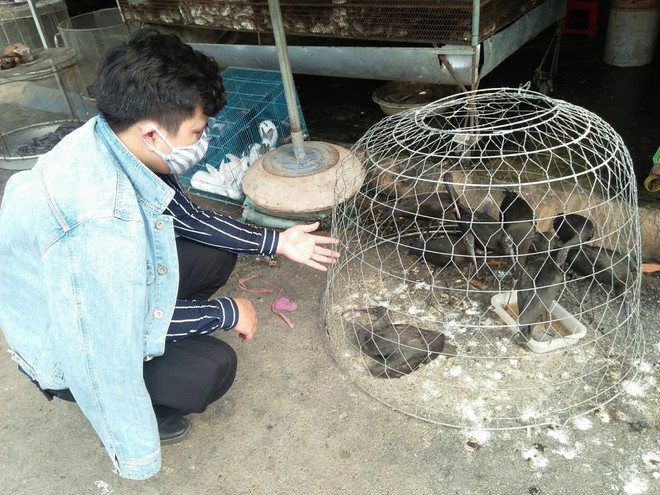 Vinh danh 21 tổ chức, cá nhân nỗ lực đóng góp giải cứu loài hoang dã ảnh 2