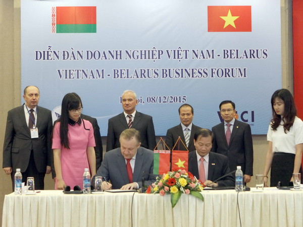 Tham vấn chính trị cấp Thứ trưởng Ngoại giao Việt Nam-Belarus ảnh 1