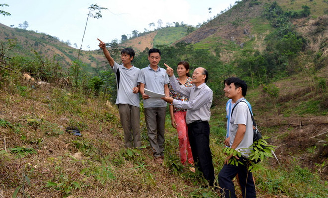 Tuyên Quang giao hơn 1.880ha rừng cho các hộ dân và địa phương ảnh 1