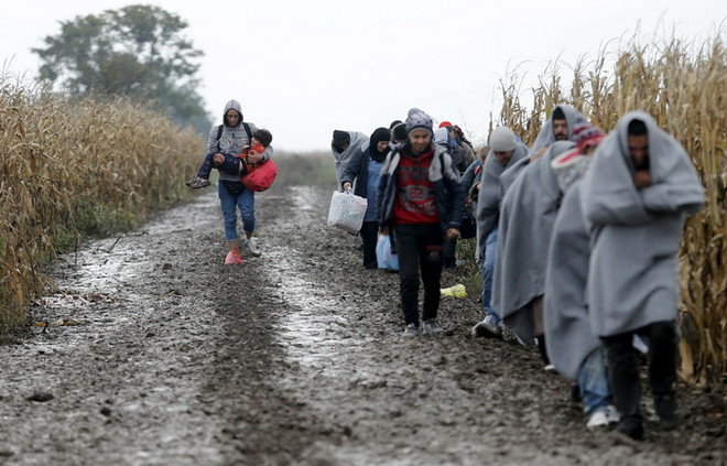 UNHCR: Hơn 10.000 người di cư ở Serbia thiếu thốn lương thực ảnh 1