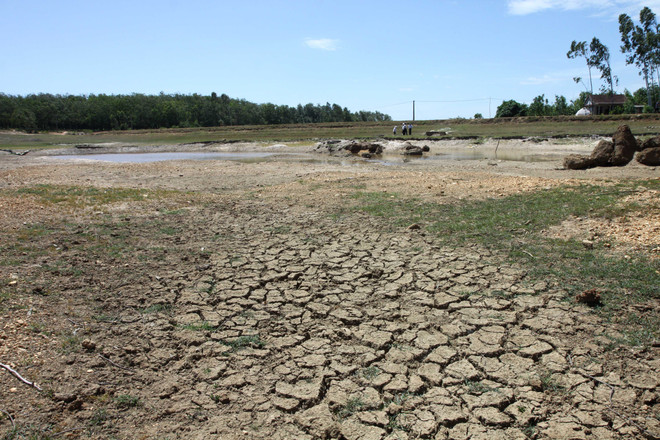 Xây dựng Chương trình Hỗ trợ ứng phó với biến đổi khí hậu sau 2015 ảnh 1