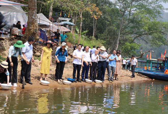 Thả cá giống vào hồ Ba Bể bảo vệ 'lá phổi xanh’ nơi đại ngàn Việt Bắc ảnh 2
