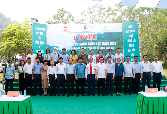 Thả cá giống vào hồ Ba Bể bảo vệ 'lá phổi xanh’ nơi đại ngàn Việt Bắc ảnh 1