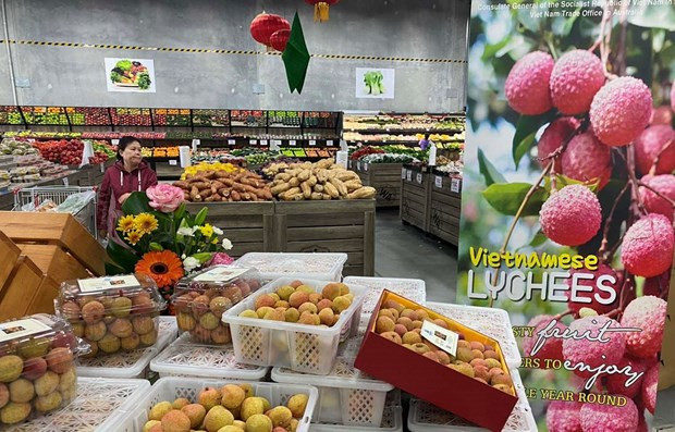 Việt Nam là đối tác kinh tế và hợp tác chiến lược của Australia ảnh 2