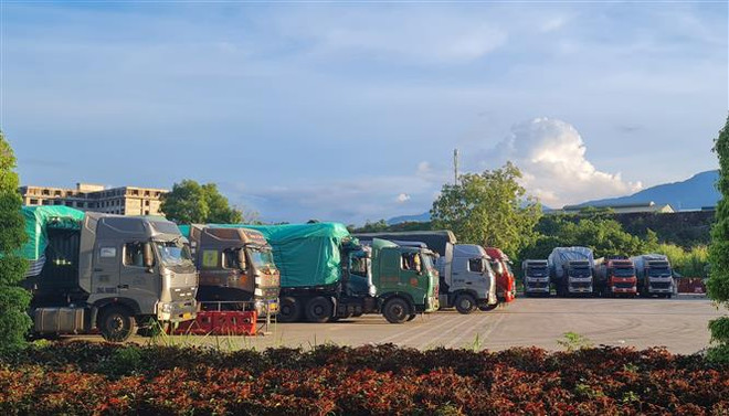 Để trung du, miền núi Bắc Bộ phát triển xanh, bền vững và toàn diện ảnh 3