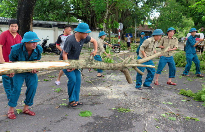 Lực lượng chức năng hỗ trợ dọn dẹp cây xanh bị ngã đổ. (Ảnh: Tường Vi/TTXVN) Thừa Thiên-Huế: Bộ đội giúp dân khắc phục hậu quả cơn bão số 5 ảnh 1