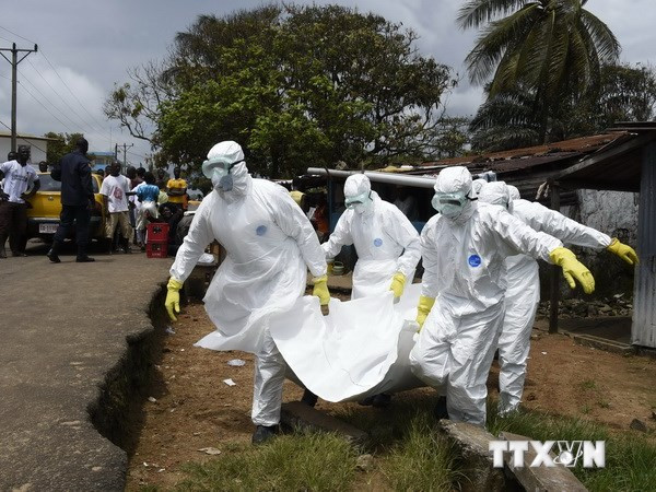 WHO công bố con số giảm các trường hợp tử vong do Ebola ảnh 1