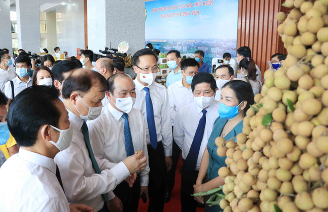 Kết nối cung cầu tiêu thụ nhãn và nông sản tại Hưng Yên ảnh 2