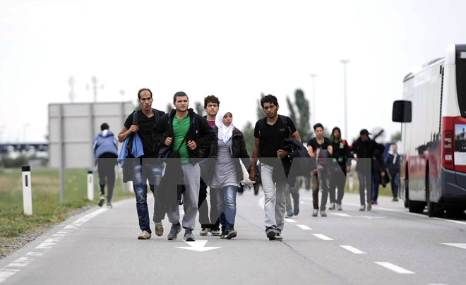 Cảnh sát Hungary bắt gần 400 người di cư xâm nhập trái phép ảnh 1