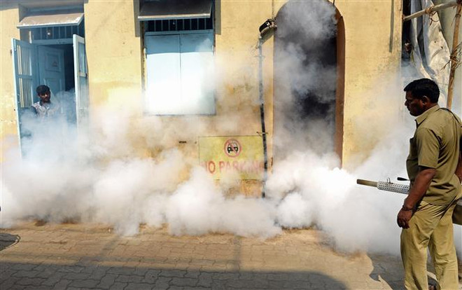 Ấn Độ báo động đợt bùng phát dịch bệnh Zika lớn nhất ảnh 1
