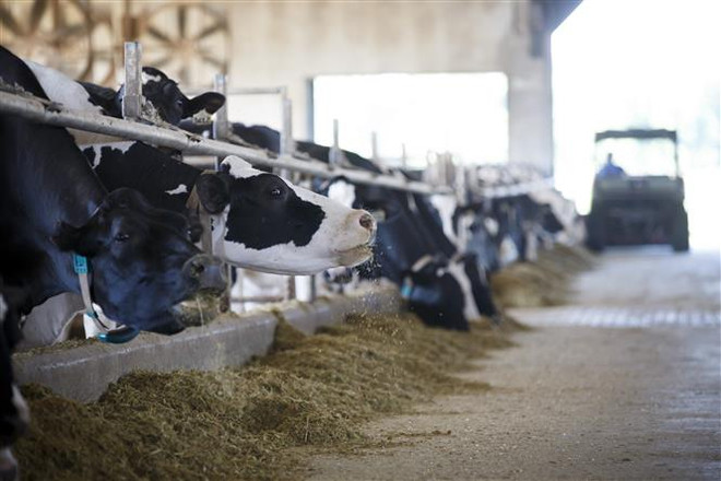 Việc đổi tên NAFTA thành USMCA nói lên điều gì? ảnh 2