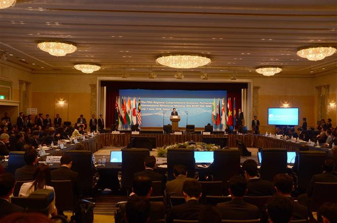 Các nước nỗ lực hoàn tất đàm phán RCEP đúng hẹn vào năm 2019 ảnh 1