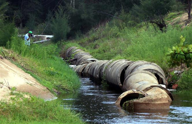 Bốn chủ trang trại nuôi lợn gây ô nhiễm bị phạt hơn 750 triệu đồng ảnh 1