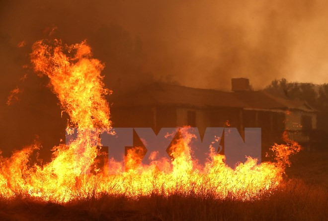 Cháy rừng tiếp tục bùng phát ở Mỹ và Pháp, thiêu rụi 2.200 ha rừng ảnh 1