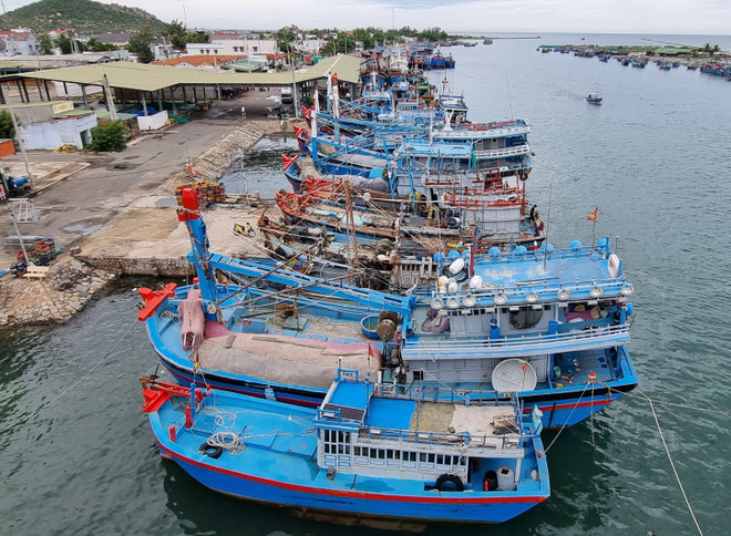 Bình Định, Ninh Thuận khẩn trương ứng phó bão số 4-Noru ảnh 2