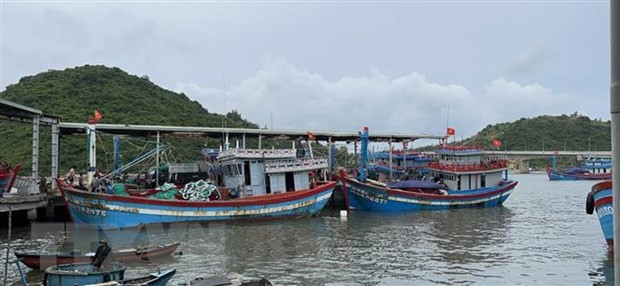 Phải làm gì để phòng tránh và giảm thiểu thiệt hại do bão? ảnh 2