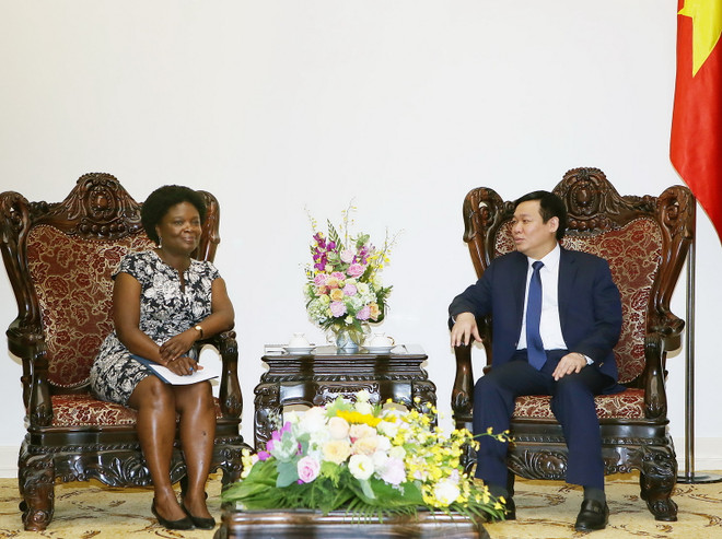 Việt Nam muốn Ngân hàng Thế giới tư vấn giải pháp xử lý nợ xấu ảnh 1