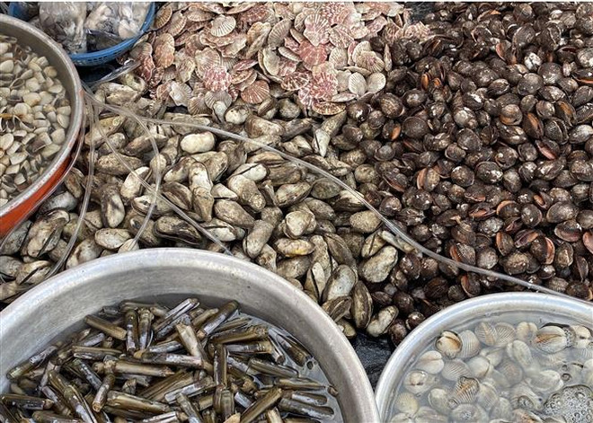 Trà Vinh: Hải sản cung không đủ cầu hải sản trong dịp lễ 30/4-1/5 ảnh 1