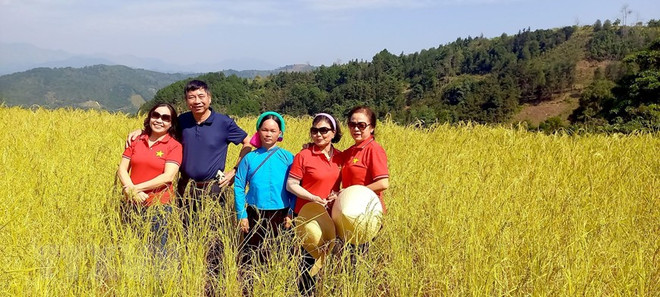 Du lịch nội địa - Làm sao để bứt phá, "cất cánh" trong bối cảnh mới ảnh 3