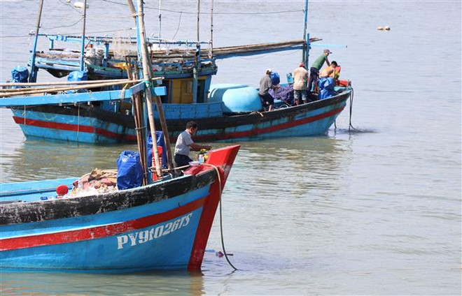 Các thuyền đều hướng về cửa biển chủ tàu làm lễ cúng biển cầu mong cho anh em thuyền viên khỏe mạnh và có một vụ đánh bắt mới tôm, cá đầy khoang. (Ảnh: Phạm Cường/TTXVN) Ngư dân Khánh Hòa tràn đầy hy vọng về chuyến biển xuyên Tết Nguyên đán ảnh 1
