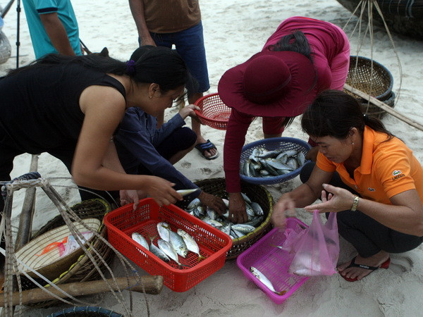 Quảng Trị hoàn thành bồi thường sự cố môi trường biển trước 30/8 ảnh 1