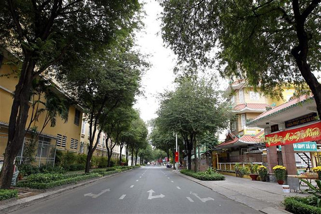 TP.HCM: Hai giải pháp ứng phó với biến chủng Omicron trong dịp Tết ảnh 2