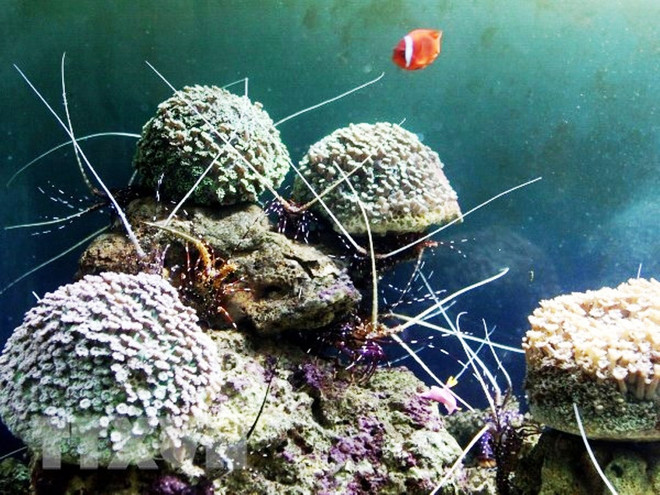 Quy chế phối hợp quản lý nghiên cứu khoa học trong vùng biển Việt Nam ảnh 1