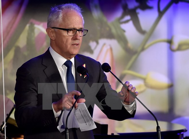 Thủ tướng Australia cân nhắc khả năng tổ chức bầu cử sớm ảnh 1