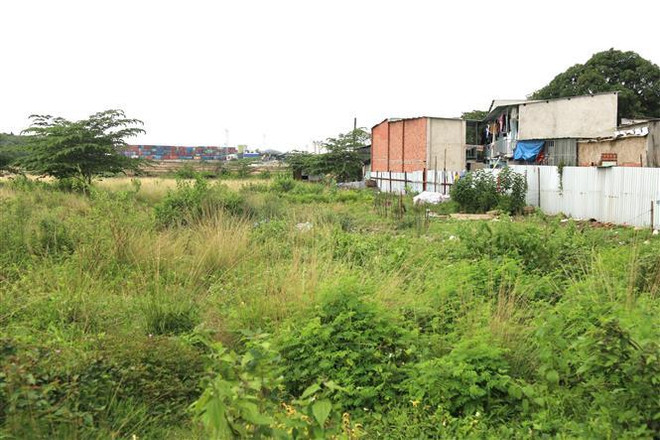 Vĩnh Phúc: Thanh tra đất Dự án Trung tâm dịch vụ y tế tại Tam Đảo ảnh 1