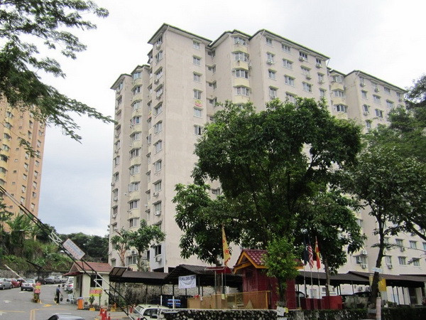 Giải cứu một phụ nữ Việt Nam định nhảy lầu tự tử ở Malaysia ảnh 1