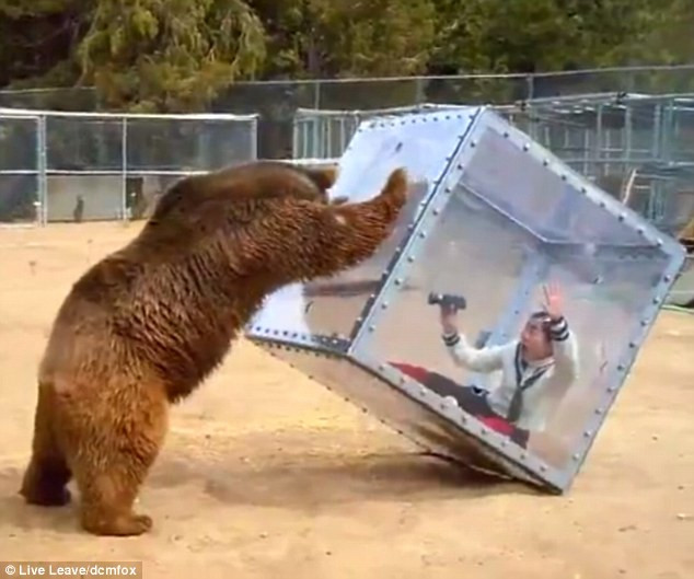 Chương trình truyền hình Nhật Bản dùng gấu để dọa người chơi ảnh 1