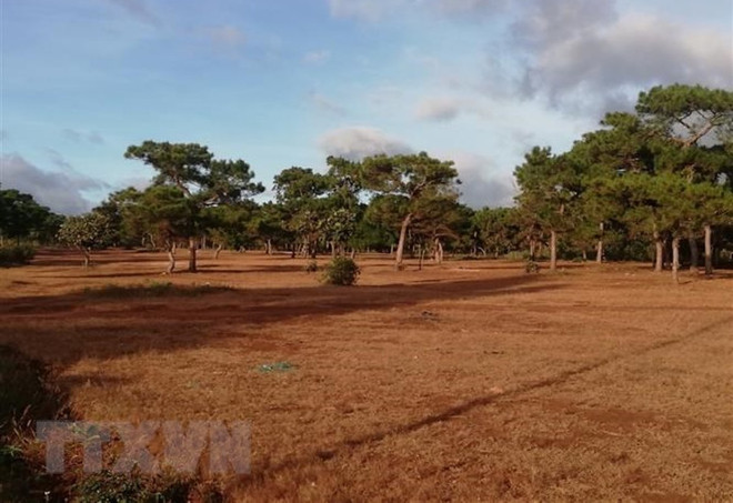 Phó Thủ tướng ‘chốt’ 7 nhiệm vụ cho ngành tài nguyên môi trường ảnh 2