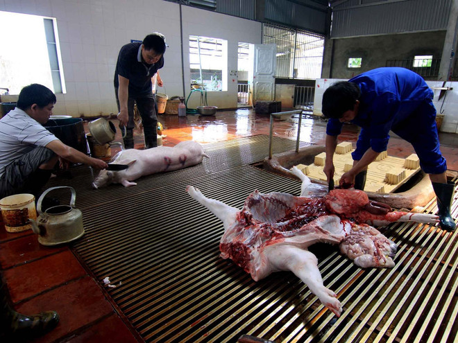 Bộ trưởng Cao Đức Phát chỉ đạo xử lý cơ sở giết mổ không đạt chuẩn ảnh 1