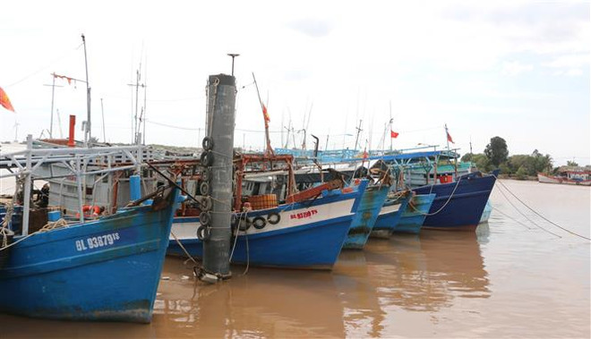 Phó Thủ tướng Lê Văn Thành: Cần dự báo chính xác về bão số 1 ảnh 2