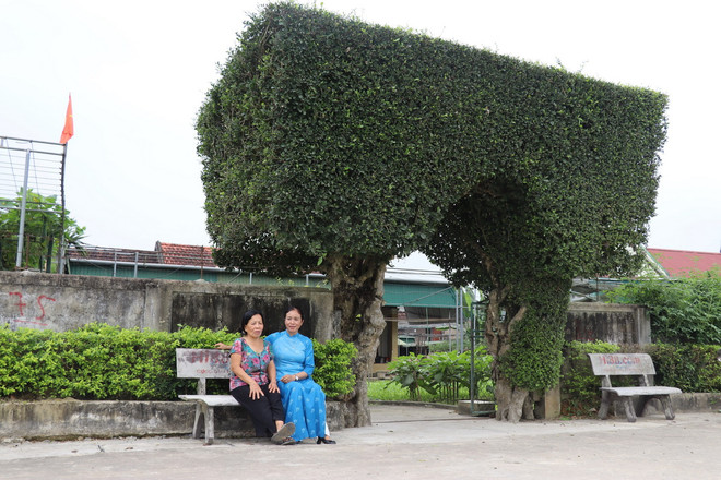 Phong cảnh nông thôn mới yên bình, xứng đáng là "miền quê đáng sống" ở huyện Đức Thọ, Hà Tĩnh. (Ảnh: Hoàng Ngà/TTXVN) que huong tong bi thu tran phu2.jpg