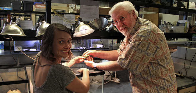 Mỹ phát hiện 3 giống cóc hiếm xuất hiện từ hơn 650.000 năm trước ảnh 1