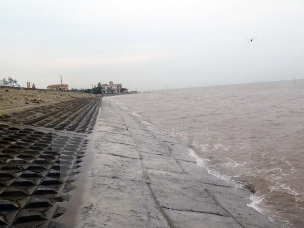 [Video] Bão số 3 có thể đổ bộ đúng thời điểm triều cường ảnh 1