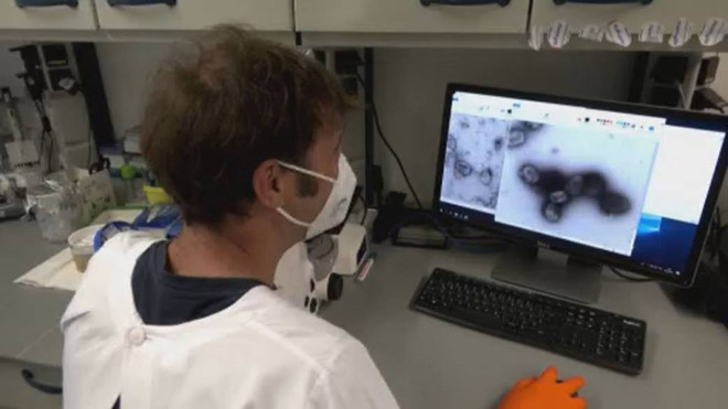 Canada: Xác định nguồn gốc của đợt bùng phát bệnh đậu mùa khỉ ảnh 1