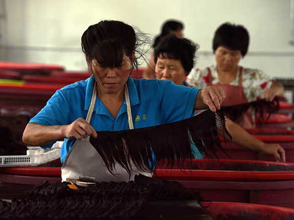 Trung Quốc trở thành nhà xuất khẩu tóc hàng đầu trên thế giới ảnh 1