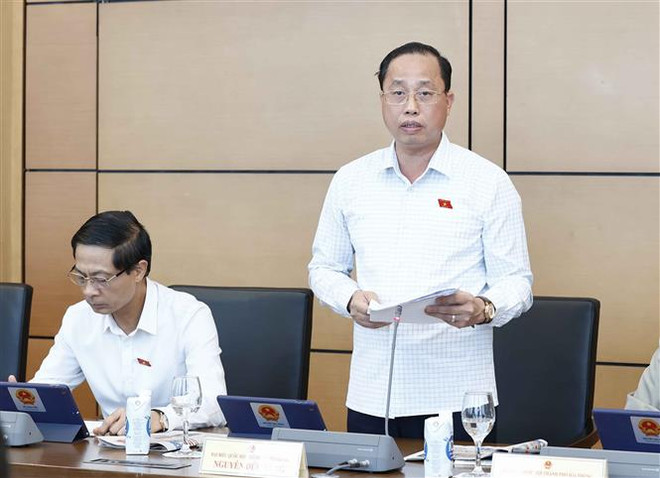 Cần tập trung tăng cường năng lực cho thanh tra cấp huyện ảnh 2