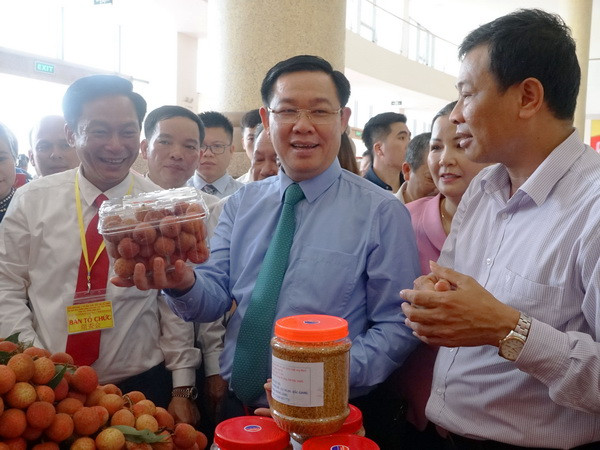 Cải thiện khâu bảo quản sau thu hoạch, chế biến và tiêu thụ vải thiều ảnh 1