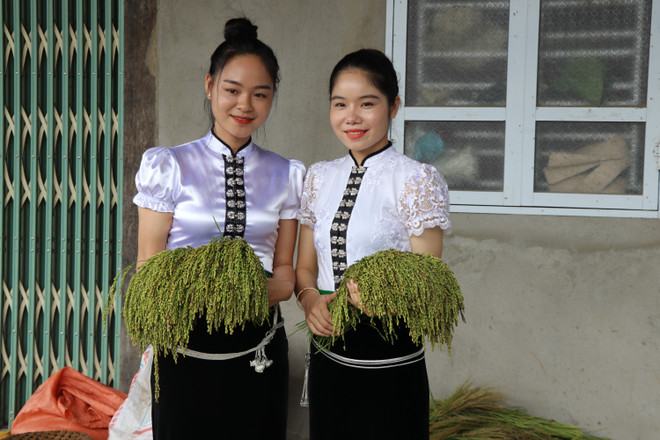 Cốm xanh Tú Lệ - Món quà độc đáo của núi rừng Tây Bắc ảnh 2