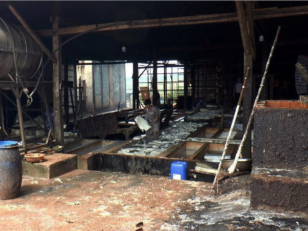 Nhà máy chế biến mủ cao su APT vận hành thử nghiệm 'chui' ảnh 1